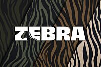 Zebra Stripe